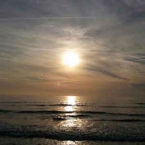 Meet your Posher, Laurie